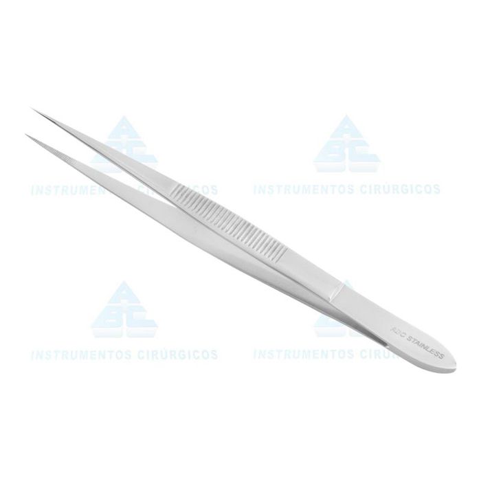 PINCA-HISTOLOGICA-12 PINCA-HISTOLOGICA-12