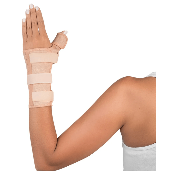 TALA-BEGE-ESQUERDA1 TALA-BEGE-ESQUERDA1