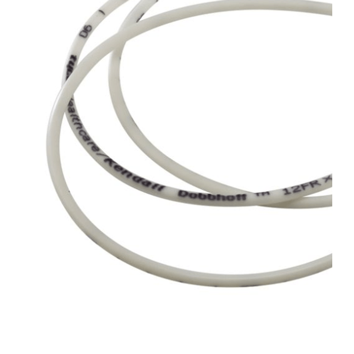 download--1- download--1-