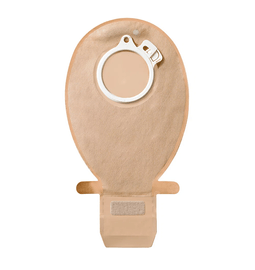 imagem_2022-11-30_144808228