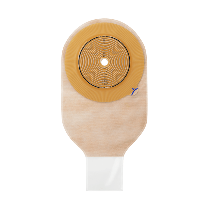 imagem_2022-12-01_121543733 imagem_2022-12-01_121543733